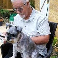 Paul (@pastorforest) 's Twitter Profile