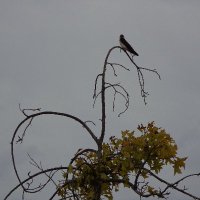 ana (@todoaumenta) 's Twitter Profile