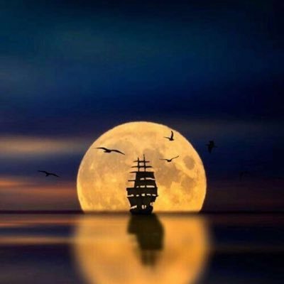 ummfjr's profile picture. Ummfjr