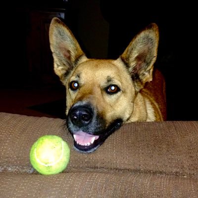 Dillon_WK's profile picture. Aspiring Omnologist