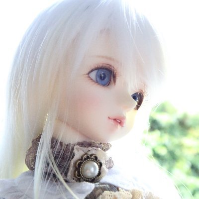 今でもツイッター慣れなくて失礼があるかも? Doll以外で文鳥、猫ちゃんも大好物です。 無言フォローの常習犯につき、無言フォローも大歓迎です。 なお誠に勝手ながらも相互フォローが希望の為、相互フォロー頂けない場合はフォロー解除させて頂く事があります。