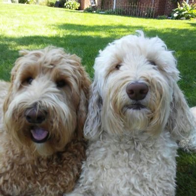 wigwag21's profile picture. 