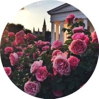 MS♡ (@mazrooueii) 's Twitter Profile Photo MS♡ (@mazrooueii) 's Twitter Profile Photo
