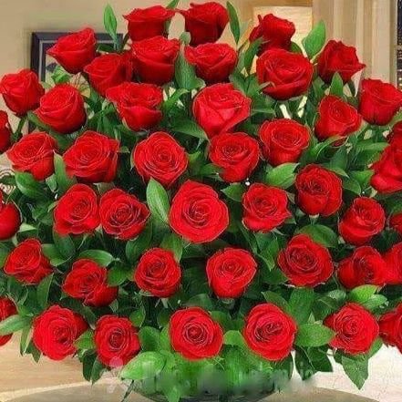 Aqsa Nagar Mangrulpir Distt.Washim Maharashtra Pin code.444403