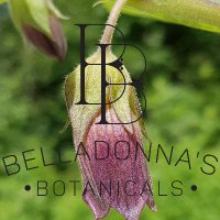 Belladonna's Botanicals(@bellabotanicPHL) 's Twitter Profile Photo