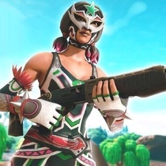 fakeshu0902's profile picture. こんにちは。フォートナイトやってます。