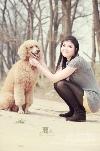 Salomepets's profile picture. sphynx cats
cat art
sick cat
cat collar