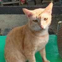 Aye Soe (@ayesoehlaing) 's Twitter Profile