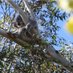π§π± wentworth falls (@tilly64) Twitter profile photo π§π± wentworth falls (@tilly64) Twitter profile photo