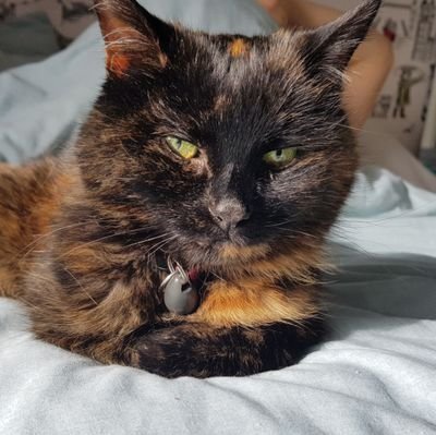 WakeUpBritain's profile picture. Fear knocked at the door.
Faith answered.
No one was there.