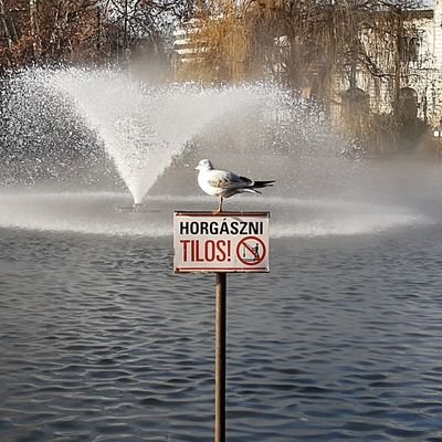 chrisp_be's profile picture. Better to remain silent and be thought a fool than to speak out and remove all doubt.