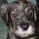 Bob Bolen - @bebolen - Twitter