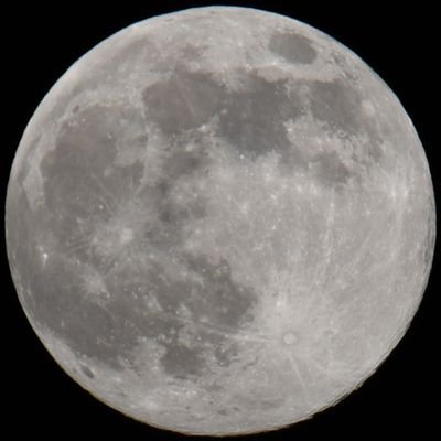 Marco36575176's profile picture. 