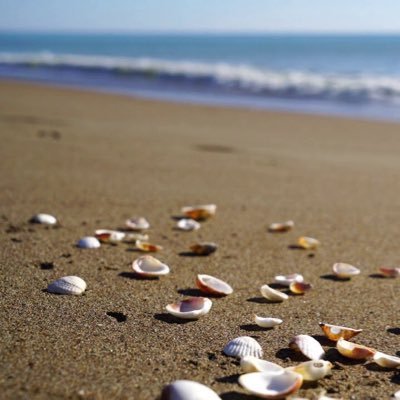 Ameezkulasuriya's profile picture. 