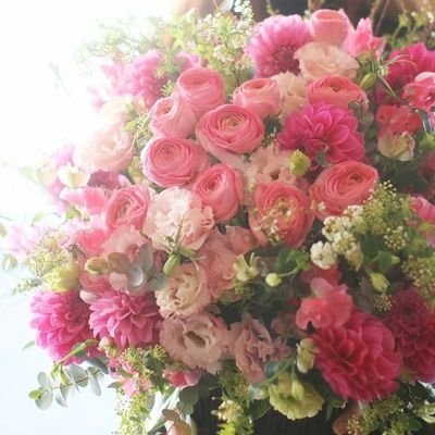 #99フォロバ
京都の花屋
https://t.co/Vvnk66KijP

季節のアレンジメントや花束、お供え物もお祝い事もリーズナブルに豪華にご提供させていただいております🎵
豪華な胡蝶蘭もたくさん取り扱っております。
是非ホームページまでアクセスお待ちしております🤗🌸

猫も大好きです🤗