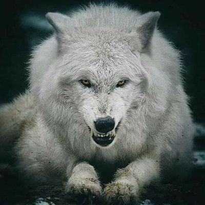 ColinRatcliff10's profile picture. Love Rock Music. no time for bullshitters Just be Honest