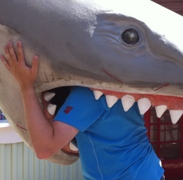 cloud_walker's profile picture. 