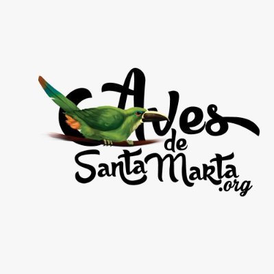 Birdfluencer in Santa Marta - COL