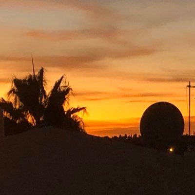 elf03's profile picture. 