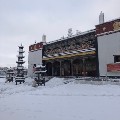 Nalmen629525's profile picture. 