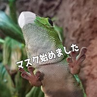 Taiki Matsuoka (@re_matsuoka) 's Twitter Profile Photo Taiki Matsuoka (@re_matsuoka) 's Twitter Profile Photo