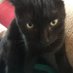 Gillian Payne (@gmp2764) Twitter profile photo Gillian Payne (@gmp2764) Twitter profile photo