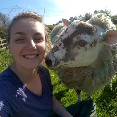 Project Coordinator for @vhiveAH at @UniOfSurrey | Part-time sheep shearer/scanner for small flocks in Surrey 🐑 | Instagram _hannahrideout_