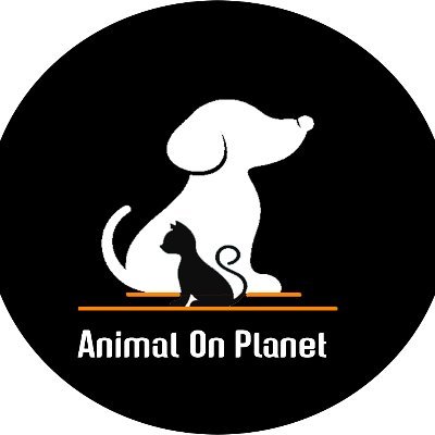 Facts and tips about animals and adorable pictures and videos that everyone loved! Find us on https://t.co/ZrSMfKO2f5

#pets #animals #cats #dogs #animalonplanet