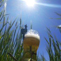 birra malkarada (@malcarada1) 's Twitter Profile Photo birra malkarada (@malcarada1) 's Twitter Profile Photo
