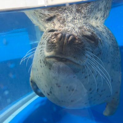 古川 千尋 Mrnssoul1412 Twitter