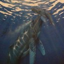 Frank core - @core111100 - Twitter