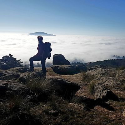 Tinalincexa's profile picture. 