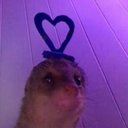 Ana Olmos - @AnaOlmo15807339 - Twitter