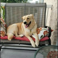 Jeanne Lacri (@lacrijeanne) 's Twitter Profile