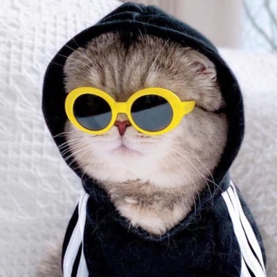 bichkweef's profile picture. 