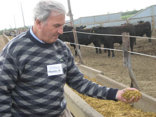 Responsable de Contenidos Hub Rural Grupo Clarín. Conductor de El Campo, la Industria Verde.