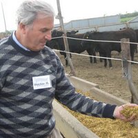 Hector A. Huergo (@hhdospierre) 's Twitter Profile