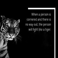 abhinav2414's profile picture. ...