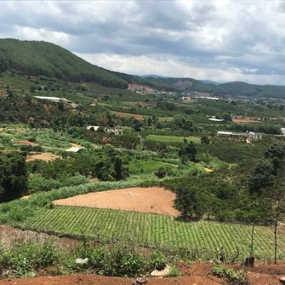 nguyenbavinh16's profile picture. 