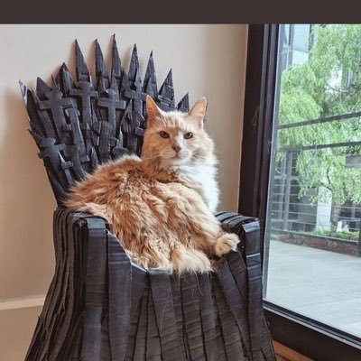 MuratPepic's profile picture. 🇹🇷🇷🇸🇧🇦