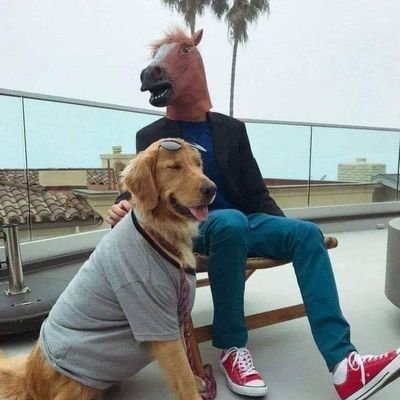 damiangal007's profile picture. ni lo uno, ni lo otro, todo lo contrario