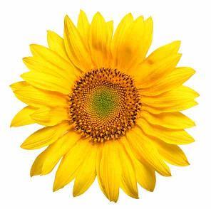 Living well with PCOS, lets help each other.