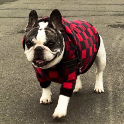 LULUさんのプロフィール画像