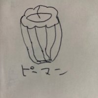 ピーマン (@pi_mannc) 's Twitter Profile