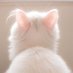 Minn (@minn_882) Twitter profile photo Minn (@minn_882) Twitter profile photo