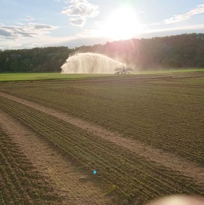 Delalondesylva1's profile picture. 