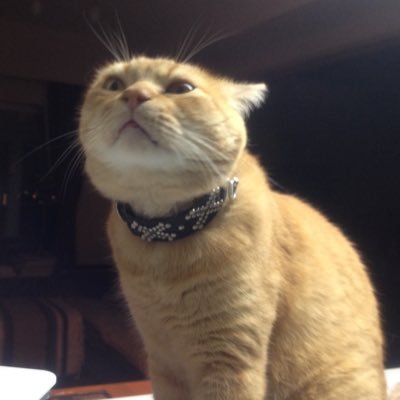 7crjaeqyfH5USVP's profile picture. 