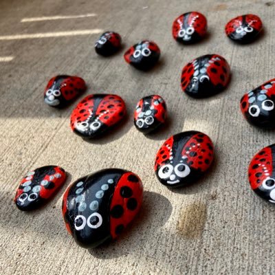 Spreading smiles & happiness during #covid19 w #paintedrocks. If you find one of us, share a pic w you/your new pal! 🐞 Big crowd on Insta!