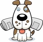 CouponFetches's profile picture. Find today's best up today coupons and freebies.