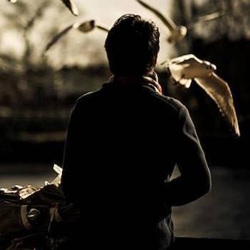 AliMehraad's profile picture. 